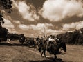 CIVIL WAR CAVALRY REENACTMENT